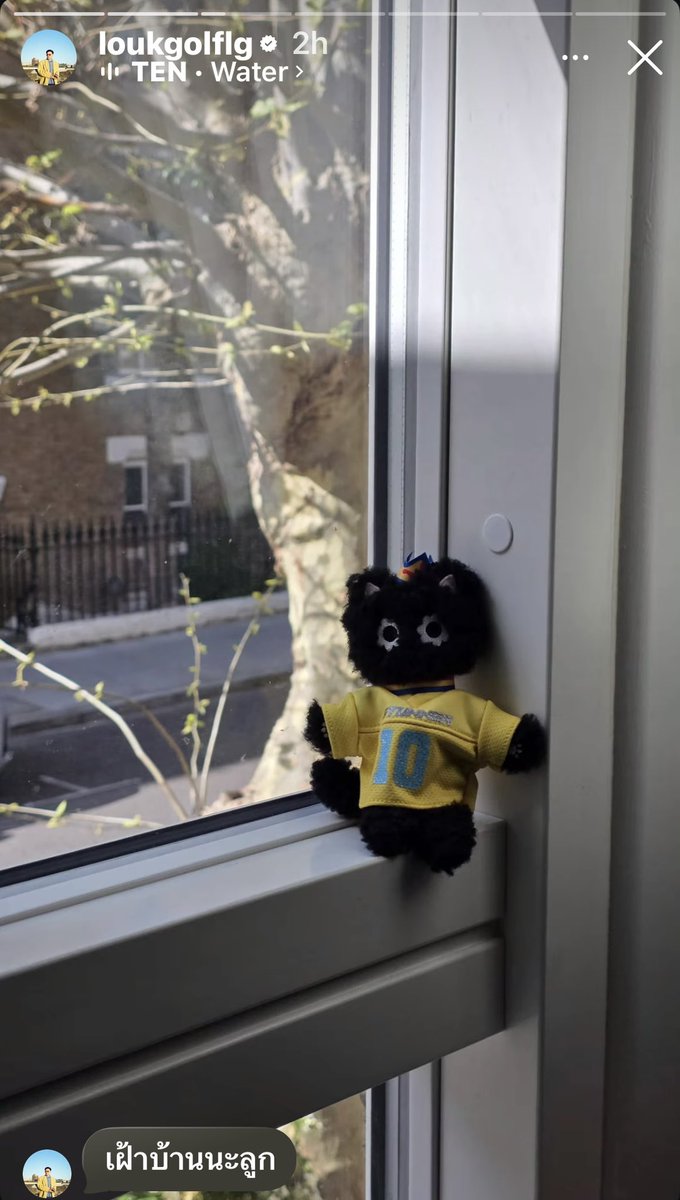 ฮอลลล์ ヅ tweet media