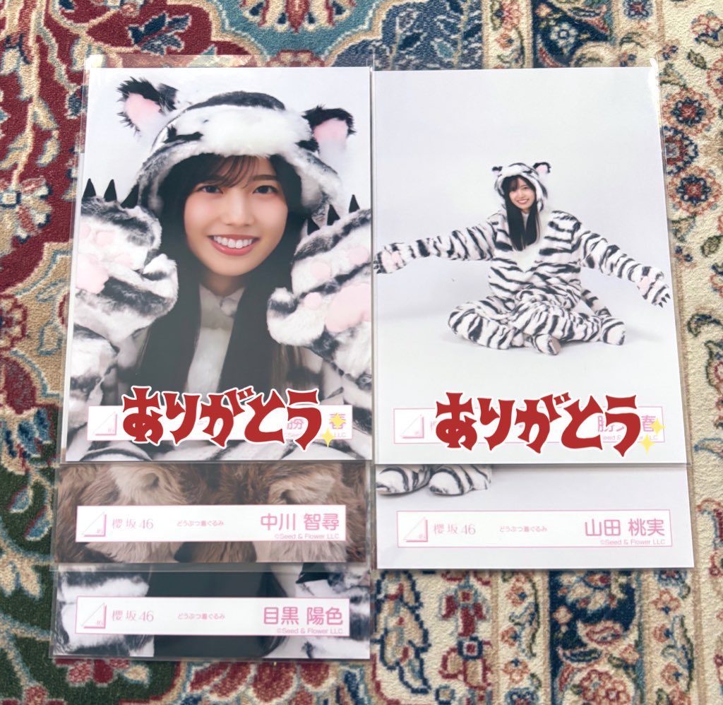 なつ🌷 tweet media