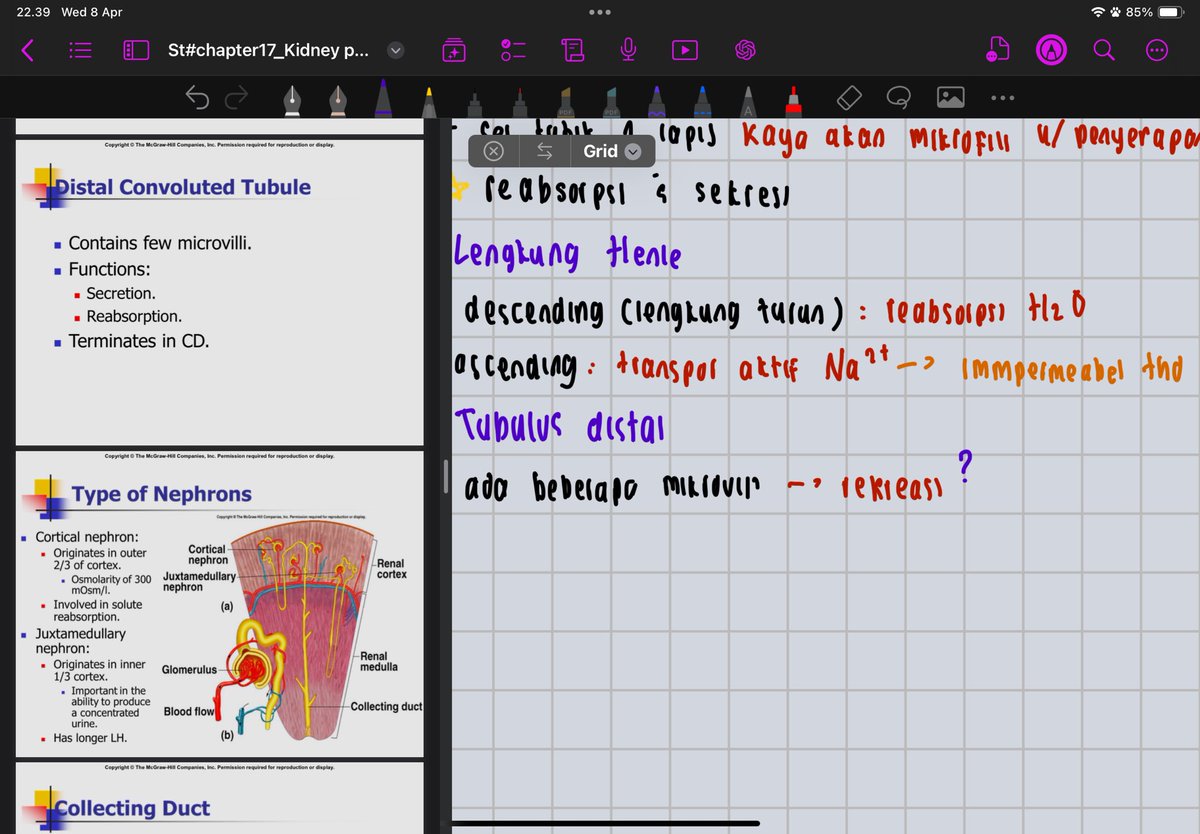 bingy bing tweet media