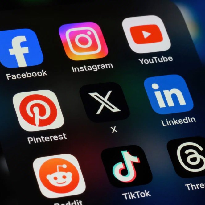 Pusholder tweet media