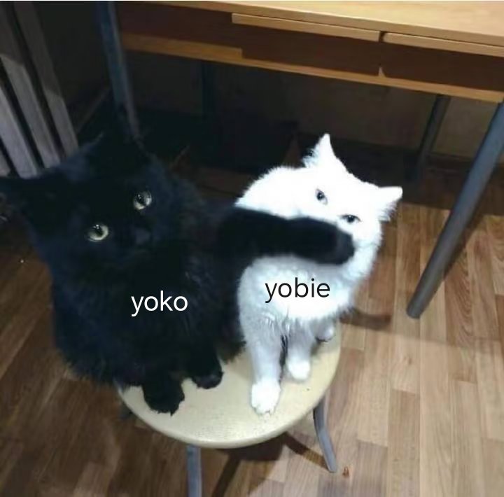 去数星星yo几颗_Xin tweet media