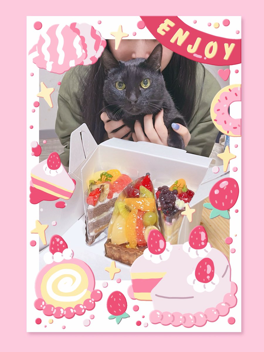 ゼリ 🌙 tweet media