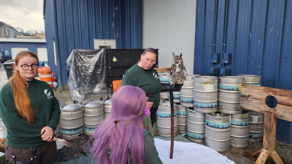 Alaska Raptor Center tweet media