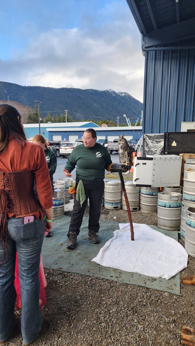 Alaska Raptor Center tweet media