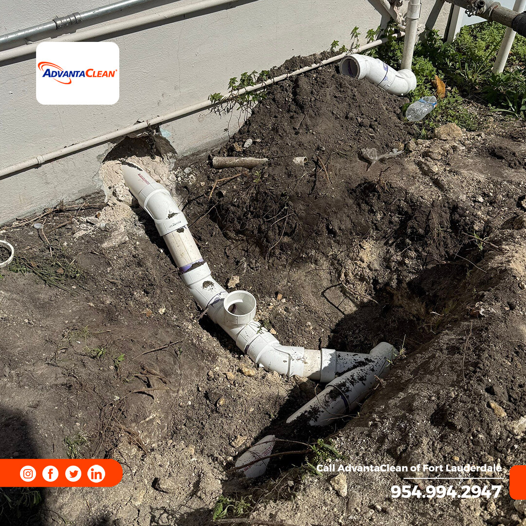 AdvantaClean Of Fort Lauderdale tweet media