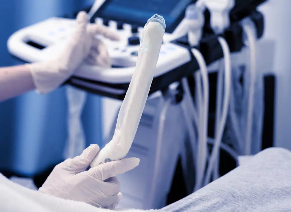 Wiss (2e compte) tweet media