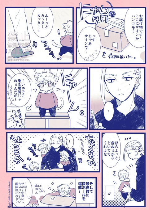 にゃん🎍と🐉君。荷物来るときは隠れてるけど荷物には興味あるにゃん 