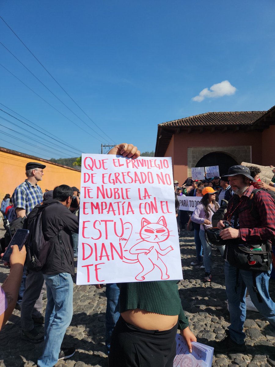 Árbol en temporada tweet media