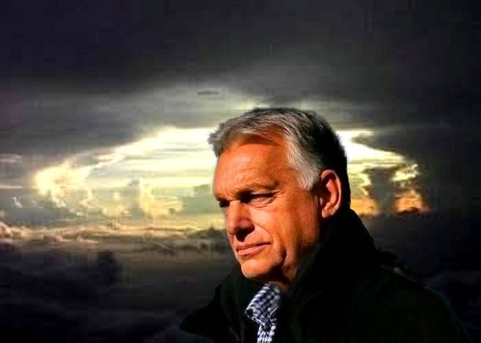 SILBER-FRAU tweet media