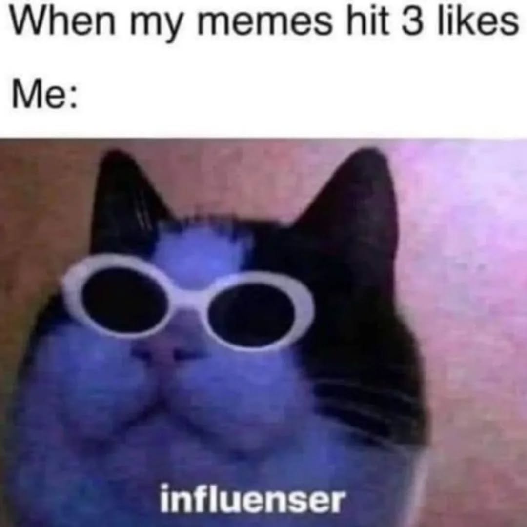 No Cats No Life tweet media