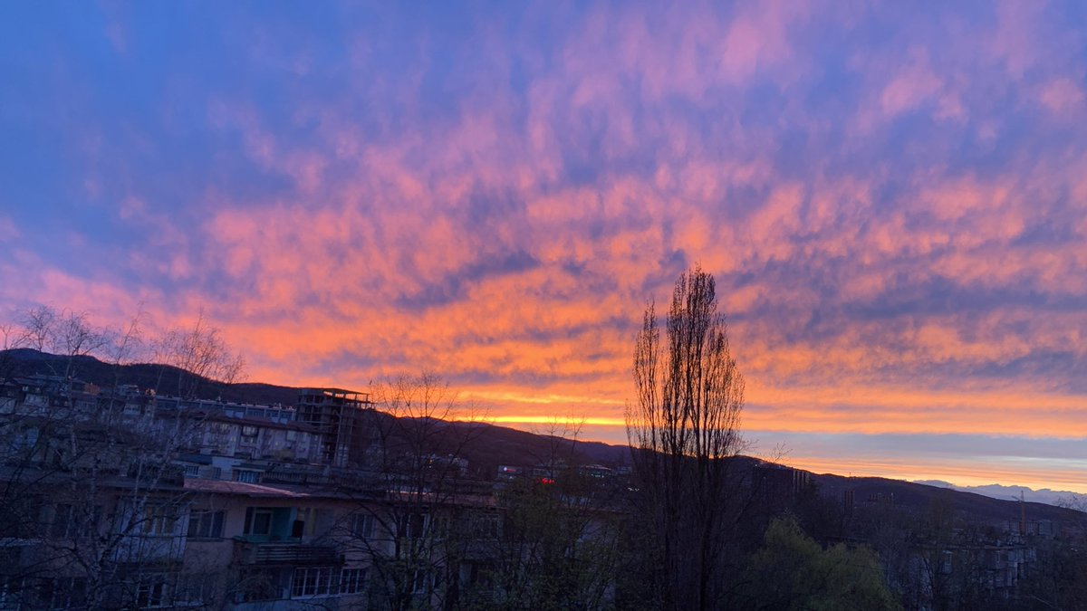 Арсен tweet media