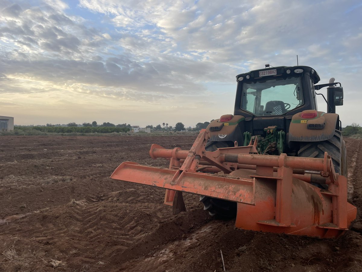 Pepe Barea tweet media