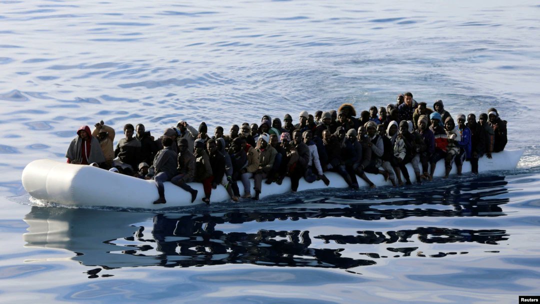 Jan Amrous tweet media