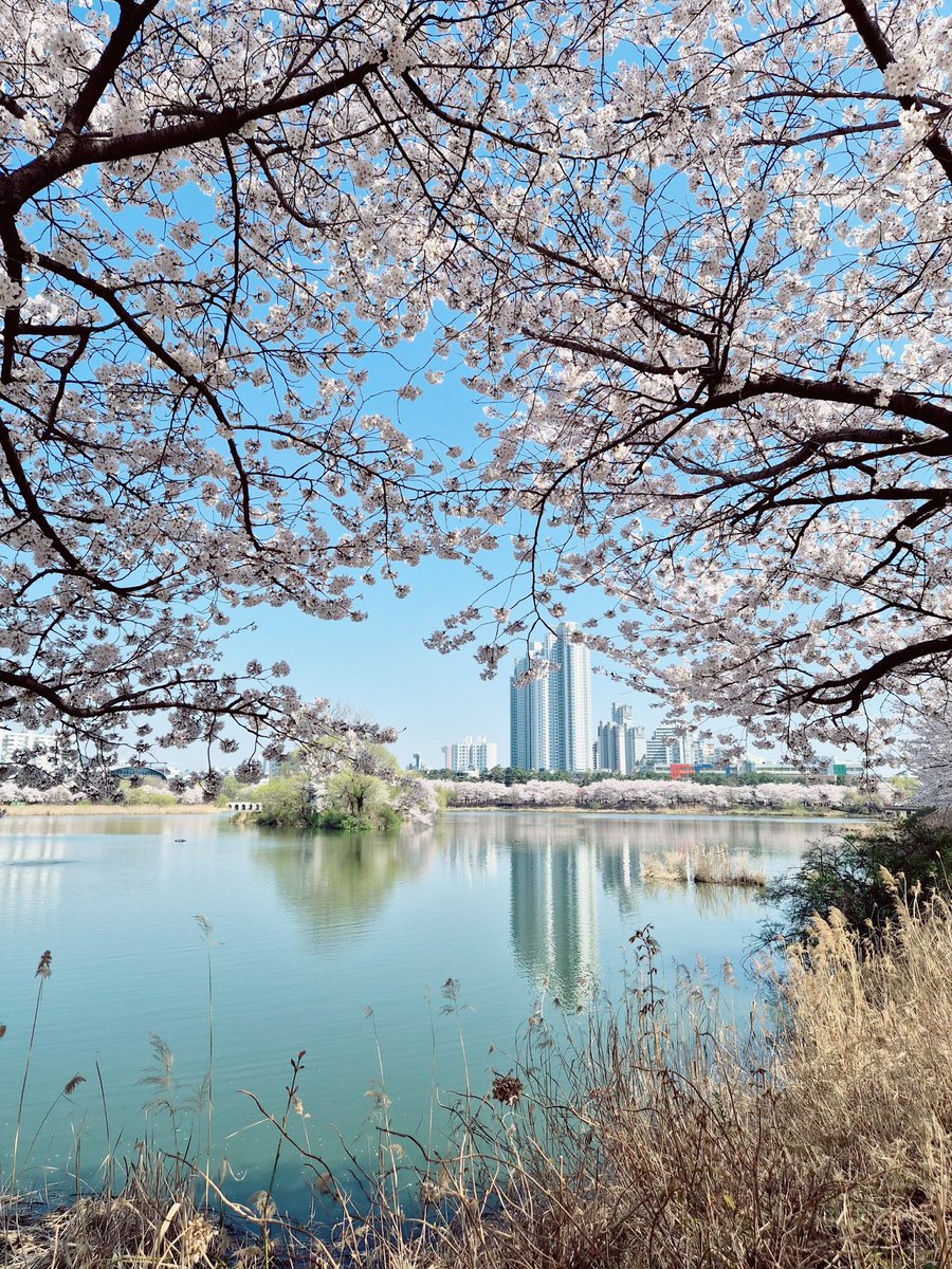 samie ⋆ sevEN- tweet media