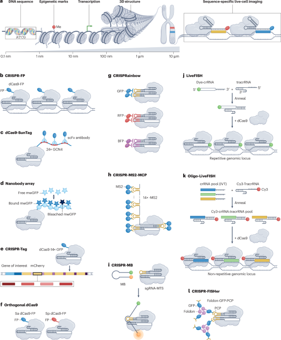 Nature Reviews Genetics tweet media
