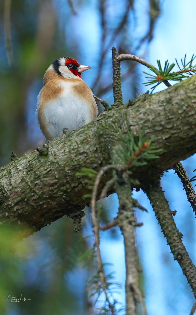 Tony’s Photos ….🍂🍁 tweet media