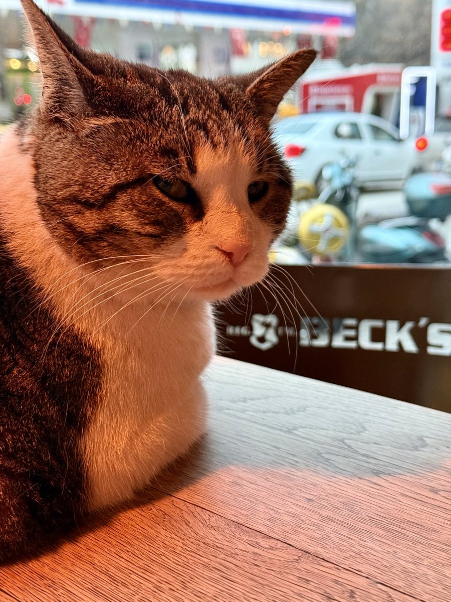 Minerva Knecht tweet media