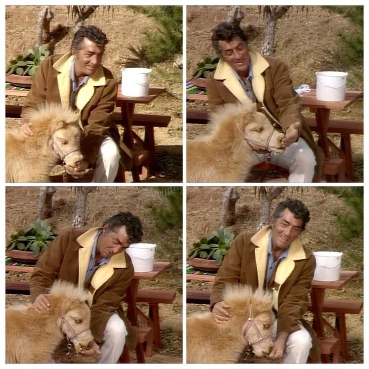 Deana Martin tweet media