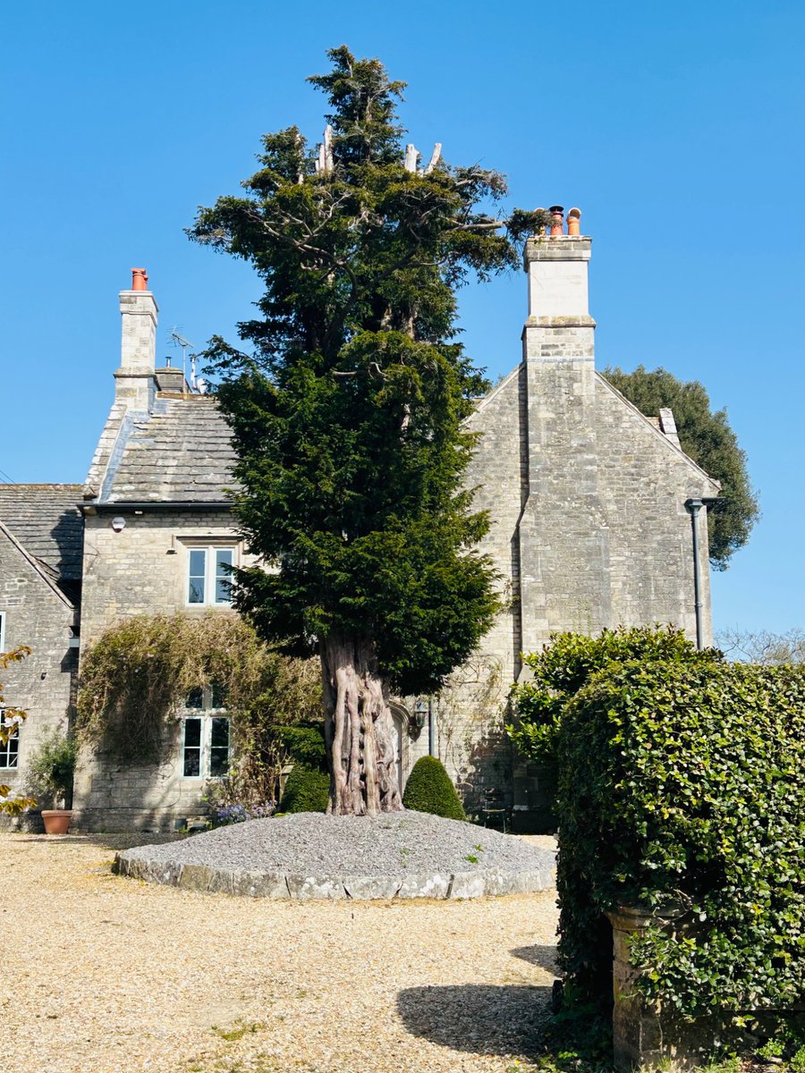 BibiRippon's tweet image. Glorious weather, perfect for visiting the Isle of Purbeck #Dorset
Church Knowle village, just a mile away from Corfe Castle, is steeped in history. The Saxons named the village 'cnolle' which signifies a top of a hill and in the Domesday Book the village was called Glole.