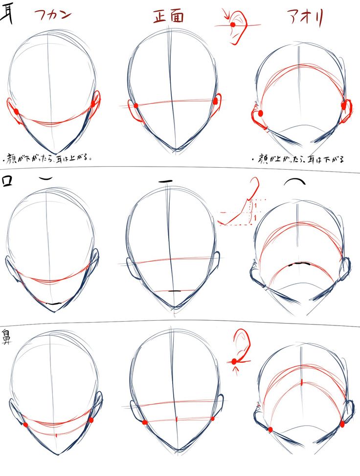 PINKU ® tweet media