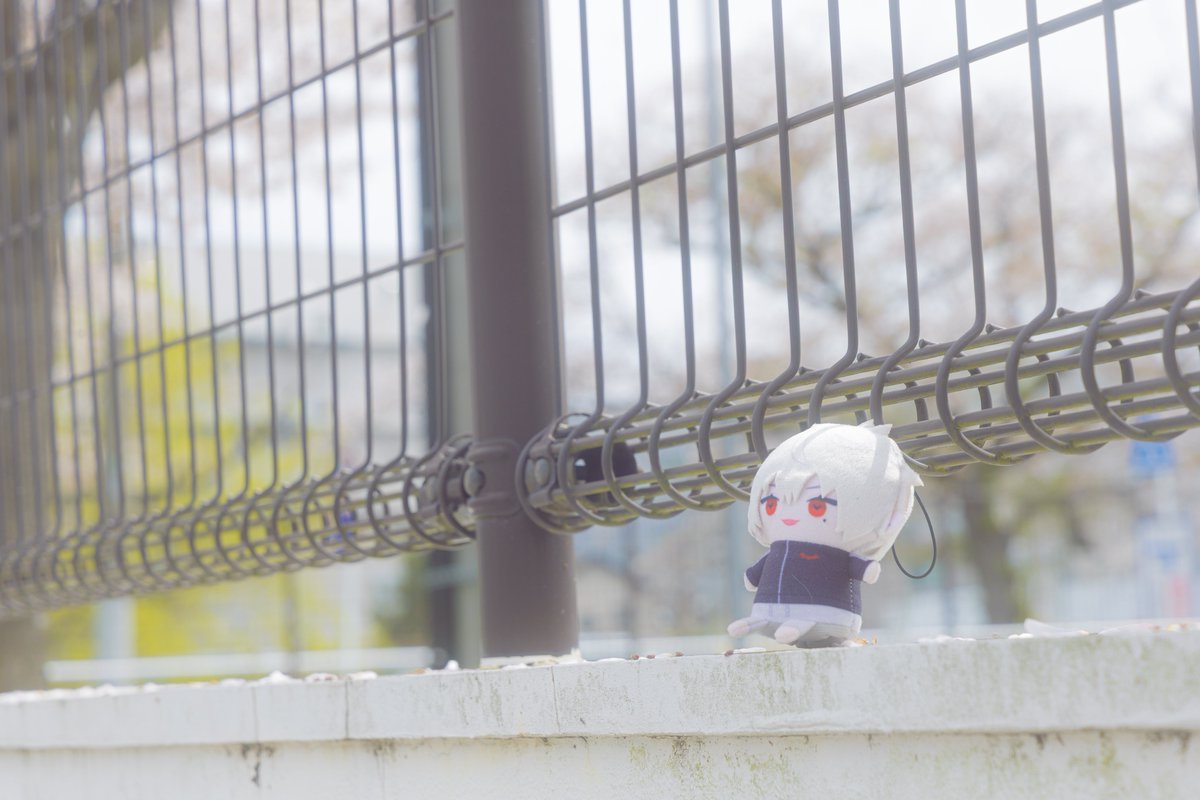 もち🍙 tweet media