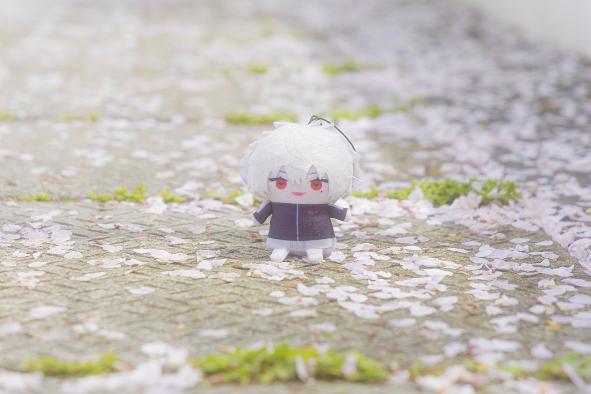 もち🍙 tweet media