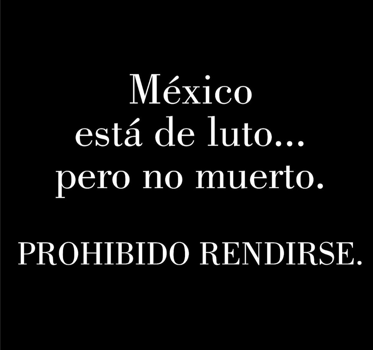 Citlali CarvajaI tweet media