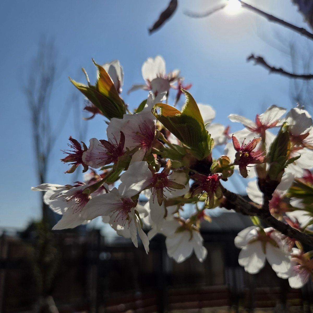 좋은 아침입니다.
목요일은 목숨은 붙어있고
정신은 금요일 가 있는 날 🫠
오늘 하루도 화이팅입니다!