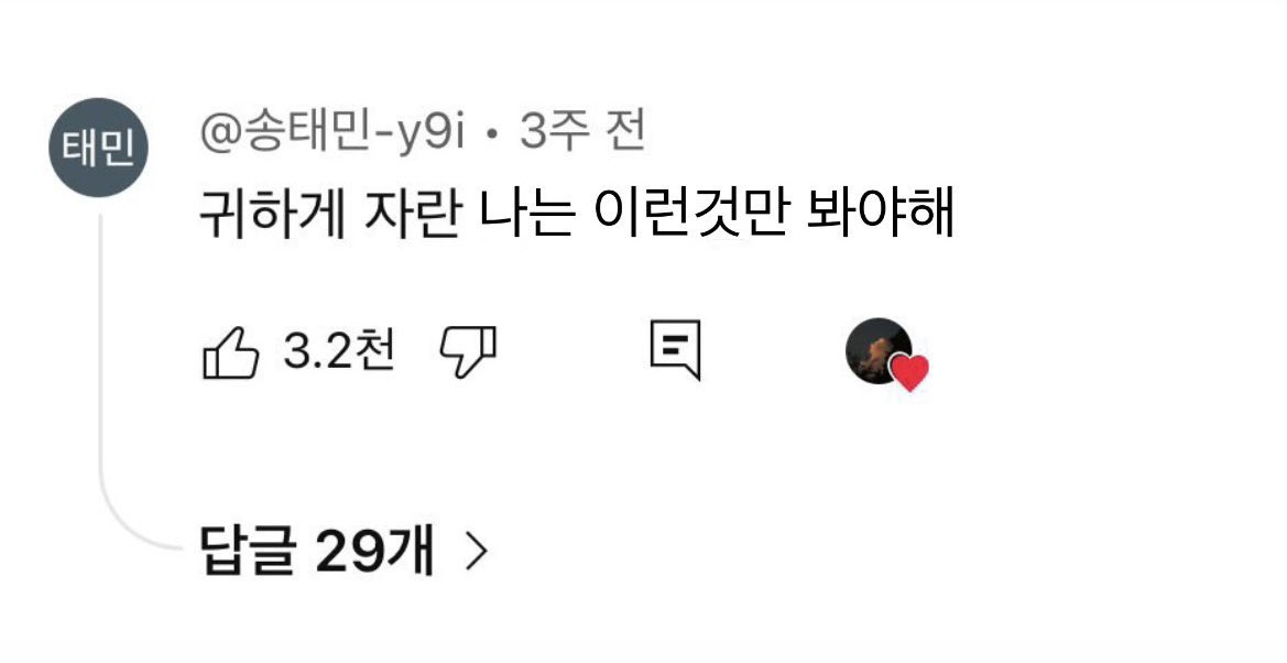 몽달이 tweet media