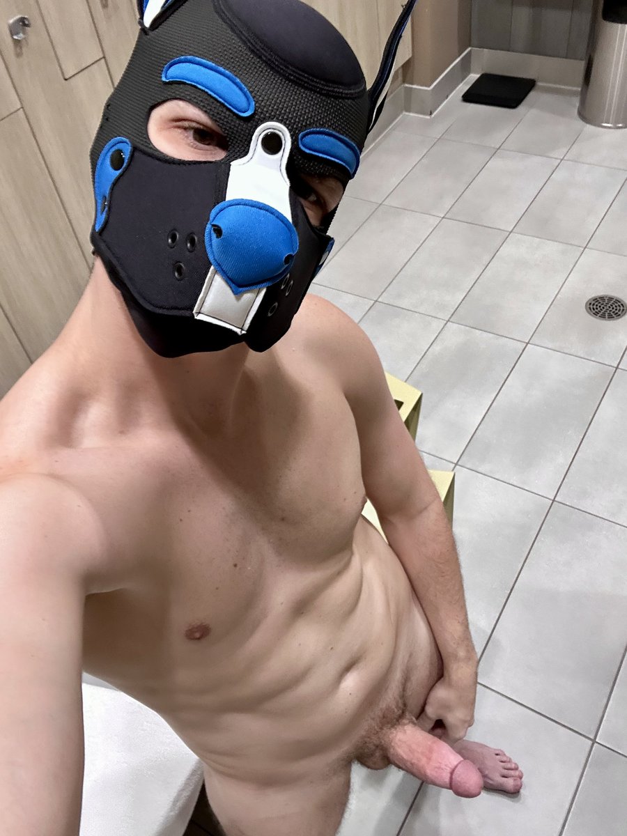 Pup Gemini tweet media