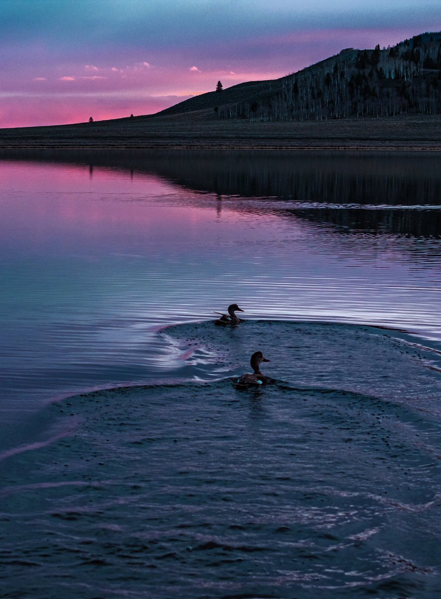 Ken James tweet media