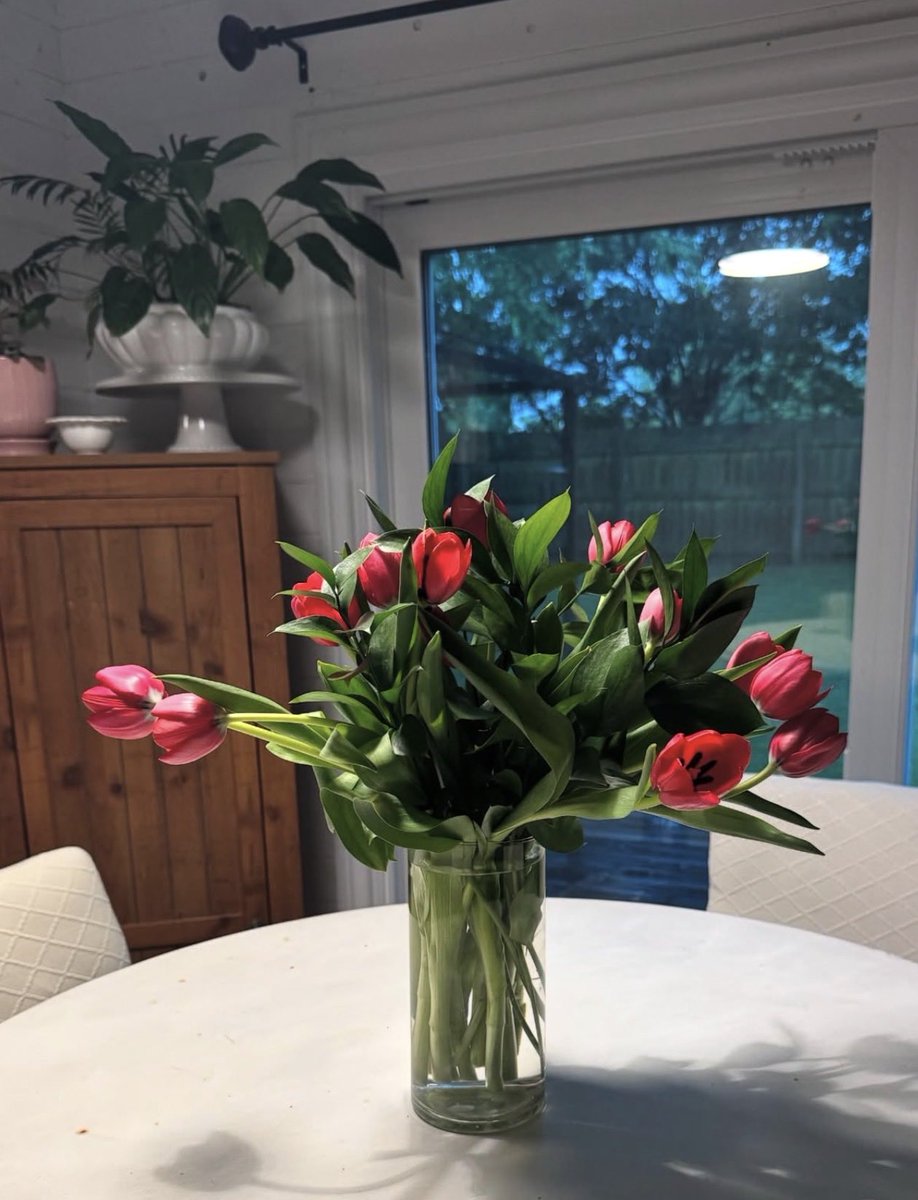 MillyRoseM07m's tweet photo. A beautiful day 💐🥰 https://t.co/RJQ8UicSFZ
