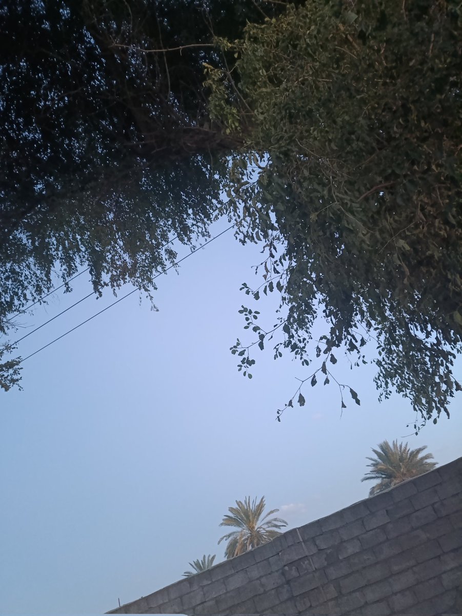 ََيًََََــم⏳ tweet media