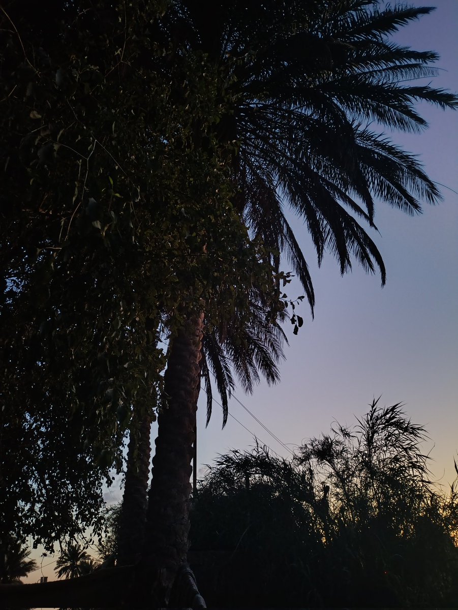 ََيًََََــم⏳ tweet media