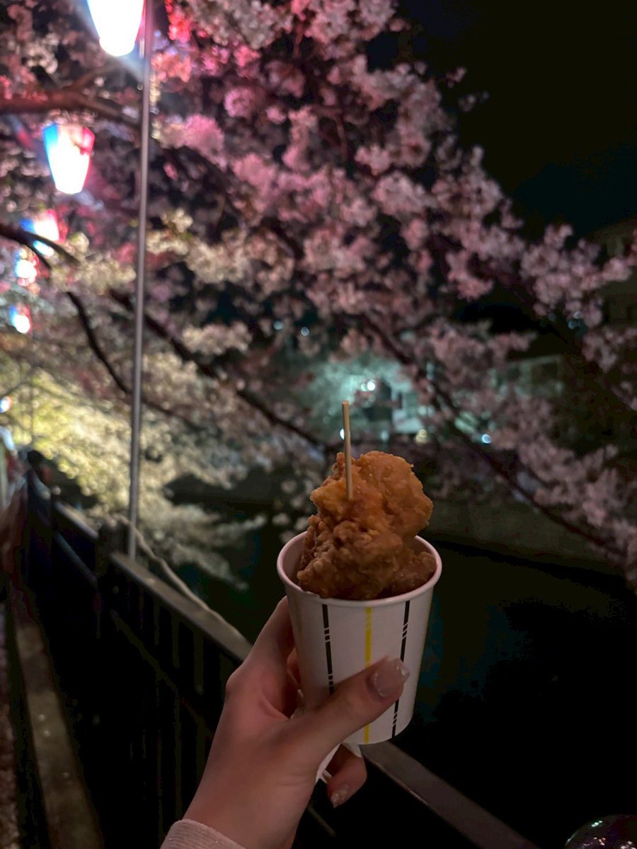 suka13814's tweet photo. 大岡川で花見 https://t.co/herh4fr3G3