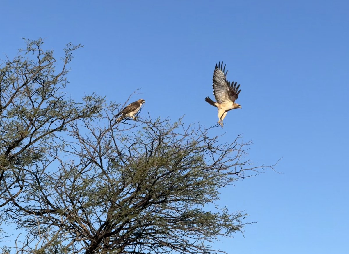 Kelly G Wilson -- loving poetry and psychotherapy tweet media