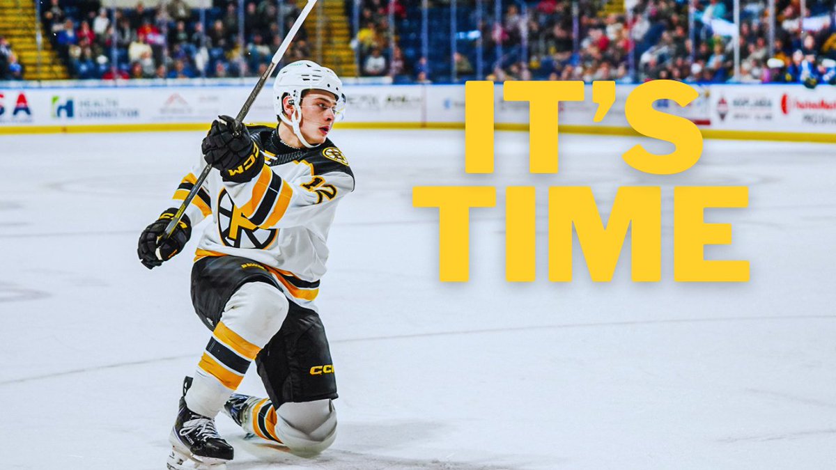 Bruins Diehards tweet media