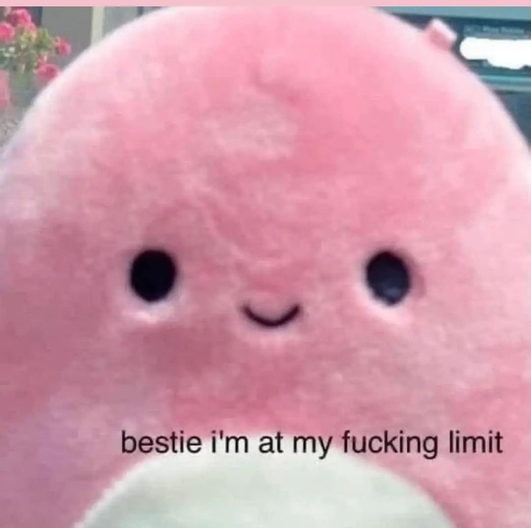 muski 🌈 tweet media