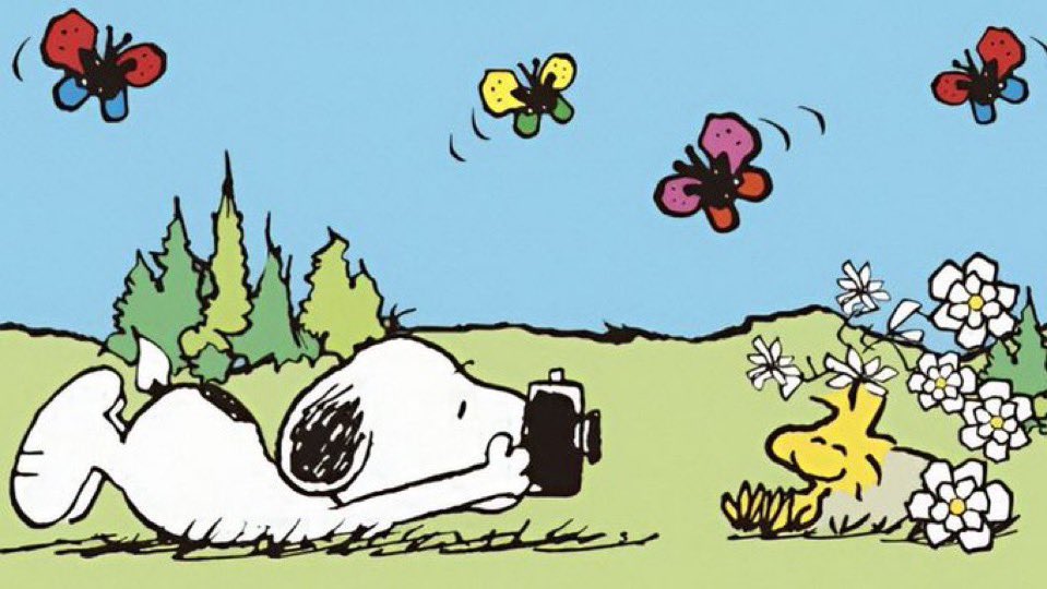 ⋆˚࿔ indie ✯ ˚⋆ tweet media