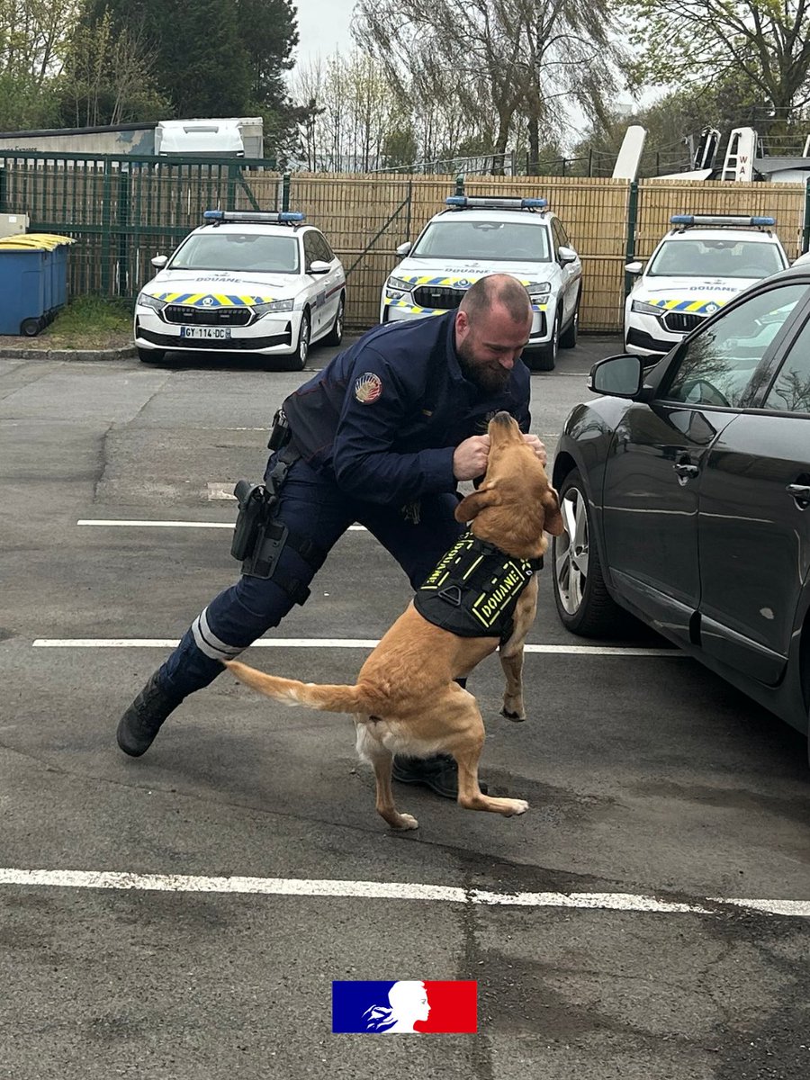 Préfecture de la région Hauts-de-France et du Nord tweet media