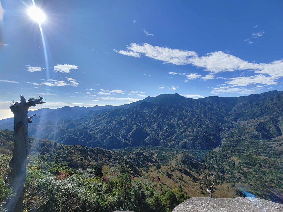 市川猿紫 tweet media