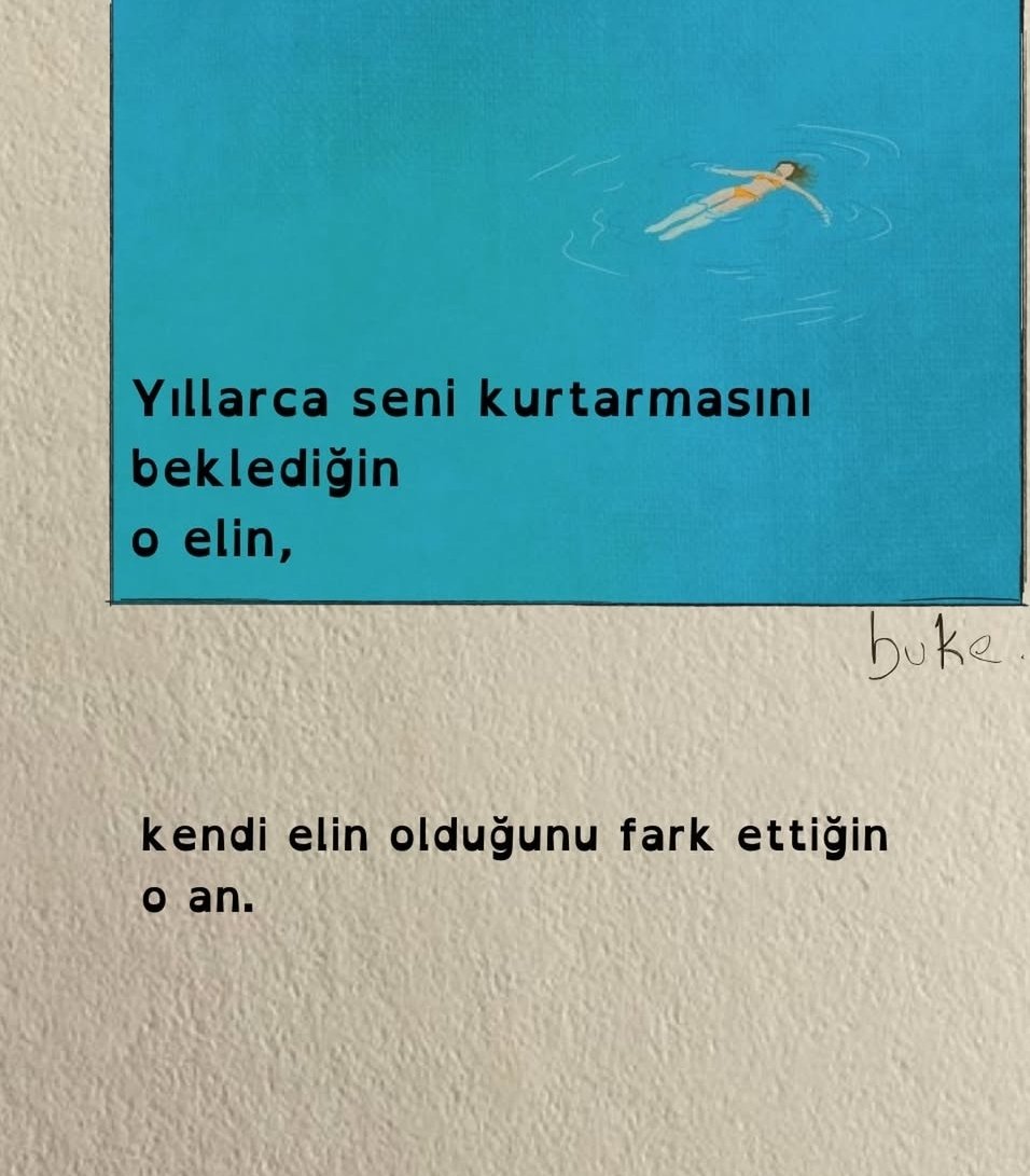 Ardıç Kuşu tweet media