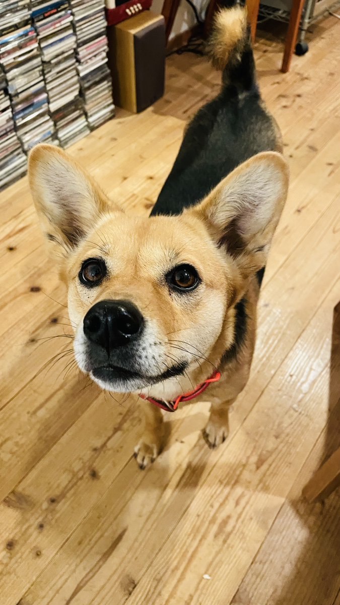 岸政彦 tweet media