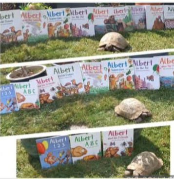 AlbertTortoise's tweet image. Albert works on many #levels. All #inspired and checked by real #ALBERTthetortoise, #AvailableNow 9 #ALBERT #picturebooks, 3 #BoardBooks &amp;amp; #ActivityBook Alberttortoise.com
#tortoise #bookseries #garden #storytime #illustration