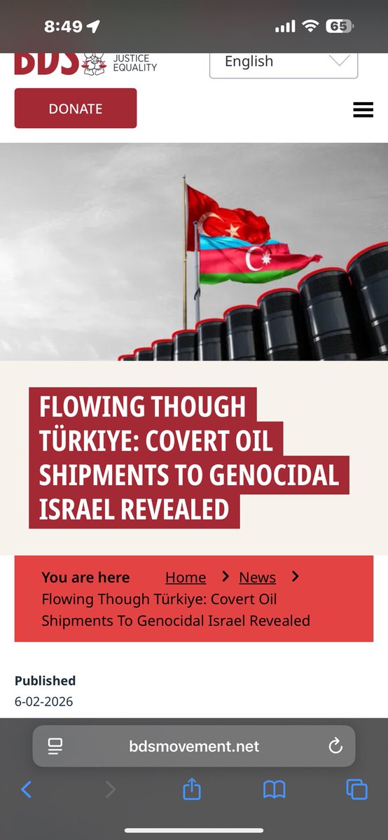 brad.pitt17 tweet media