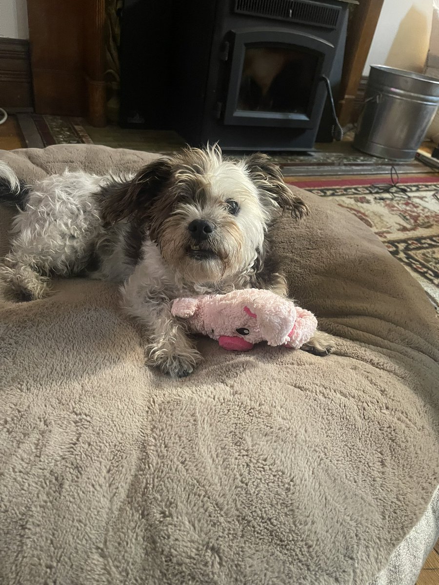 G R ᛃ ⚠️ tweet media