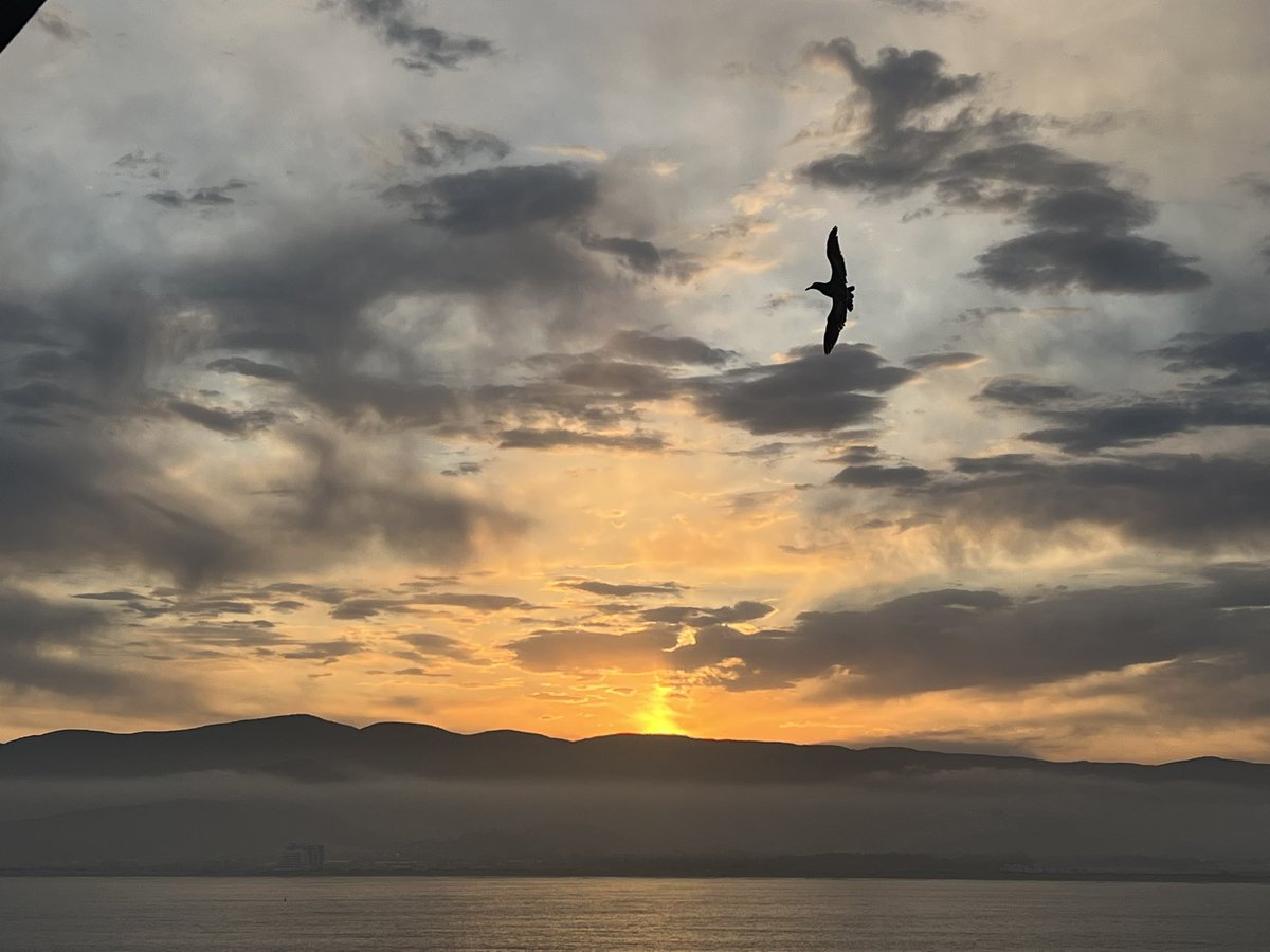 GloriaRomero tweet media