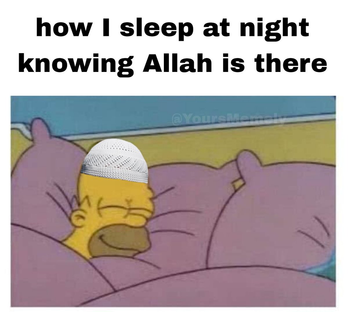 Halal Meme Wala (Retired) tweet media