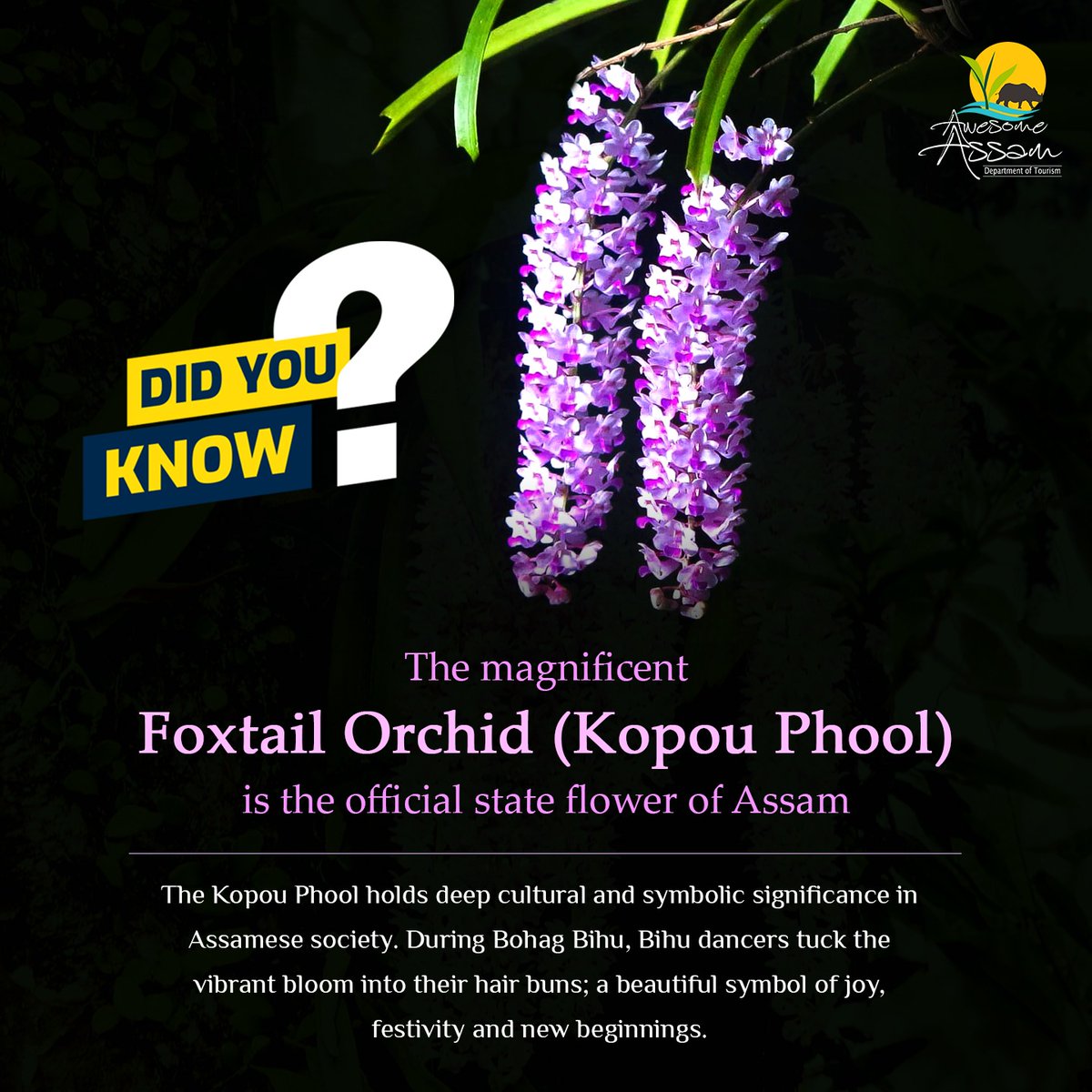 Awesome Assam tweet media