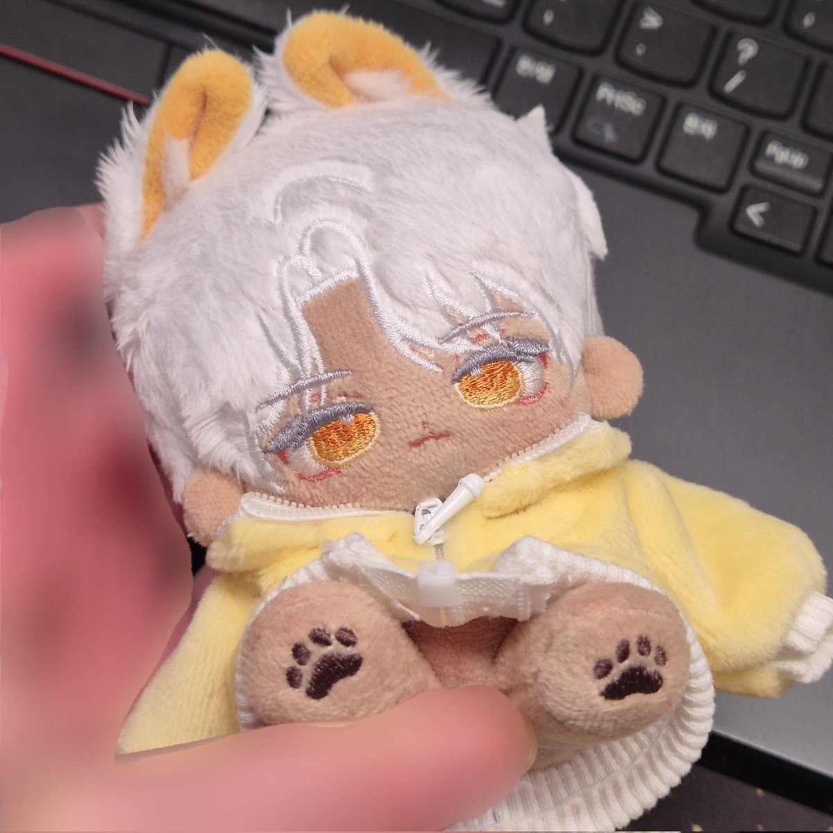 천랑🐺 tweet media